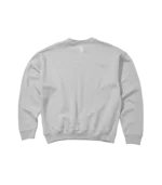 WASHED FLYING B CREWNECK CHALK GREY 1