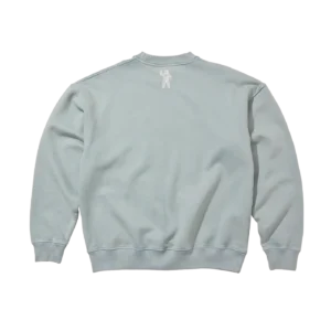WASHED FLYING B CREWNECK LIGHT BLUE 1